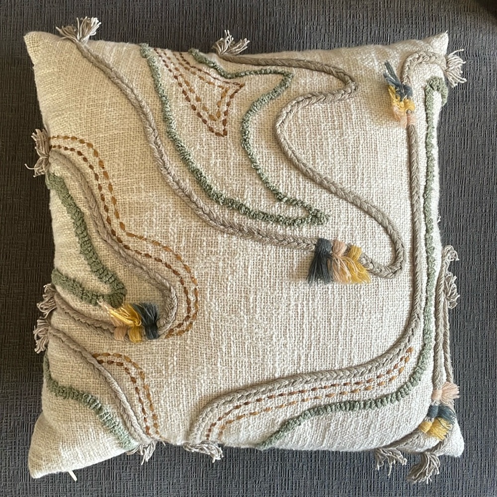 Embroidered Tassel Throw Pillow(s)